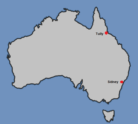 saucer-nests-Australia-marked